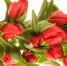 red tulips - Наше Слово