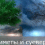 Народные приметы на 26 мая - Знамя