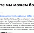 Россияне помогают собрать деньги на корм для животных в Иваново и Обнинске - Открытые НКО