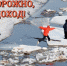 «Всякий лёд до тепла живет!» - МЧС