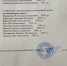 Поздравляем с присвоением юношеских разрядов спортсменов и их тренеров - Федерация восточных единоборств