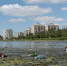 грязь и мусов в воде - My-Ivanovo.Ru