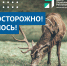 ОсторожноЛось_07 - Наше Слово
