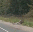 Thumbnail Image 1 - Ivanovo.Info