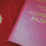 Сотрудник ГТРК «Ивтелерадио» награждена знаком «Почётный радист» - ГТРК