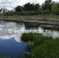 В Иванове очистят Уводь от растительности (ФОТО) - Ivanovocat.Ru