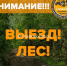 В Заволжском районе спасатели ищут молодую девочку и девушку - Ivanovocat.Ru