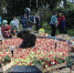 В Кинешме традиционно пройдет Праздник Волжского бульвара (программа) - ГТРК
