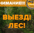 Ивановцы ищут грибы, а поисковики – заблудившихся грибников - Известно.ру