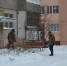 DSC_0040-160.JPG - Администрация города