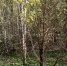 qD4BTlwLJ9U - Наше Слово