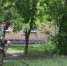 DSC_0020-223.JPG - Администрация города