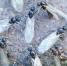 Народные приметы 15 июля - Газета Знамя