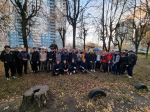 Скачать исходное изображение: 0.2 МБ (1008x756)