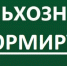 upravlenie_rosselhoznadzora_preduprezhdaet_o_nachale_aktivnogo_cveteniya_0 - Наше Слово