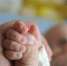 В первом роддоме родилась первая в 2025 году королевская двойня - Известно.ру