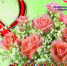 Minify img - Ивановский ГМУ