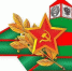 День пограничника в России - ГКУЗ ИО ТЦМК ИО