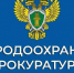Ивановский межрайонный природоохранный прокурор проведет прием граждан - Ивановский район