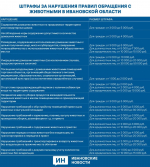 От таблички на калитке до документального учета. За что заплатит штраф ивановец при содержании своего питомца?