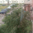 В четверг, 3 июля, в Ивановской области потеплеет, но местами пройдут дожди с грозами - Известно.ру