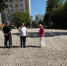 Поэтапное благоустройство - Городская Дума