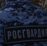 В Шуйском районе задержали молодого человека, объявленного в федеральный розыск - Сетевое издание Ивановские новости
