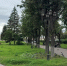 Следователями возбуждено уголовное дело в отношении местной жительницы, подозреваемой в покушении на убийство своего ребенка - Следственный комитет