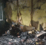 МЧС опубликовало фотографии с ликвидации возгорания в доме на двух хозяев в Иванове - Сетевое издание Ивановские новости