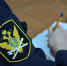 Судебные приставы Ивановской области нашли способ мотивировать неплательщицу к уплате долгов - УФССП России
