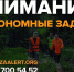 В Пучежском лесу заблудилась 74-летняя женщина - Известно.ру