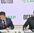 Сбербанк и ГК «Остов» будут развивать цифровые и финансовые сервисы в сфере недвижимости на Дальнем Востоке - Сетевое издание Ивановские новости