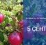 Народные приметы на 5 сентября 2025 года - Газета Знамя