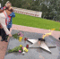 КОММУНИСТЫ ПУЧЕЖА ПОЧТИЛИ ПАМЯТЬ ВОИНОВ-ПОБЕДИТЕЛЕЙ В ДЕНЬ ОКОНЧАНИЯ ВТОРОЙ МИРОВОЙ ВОЙНЫ - КПРФ