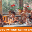 На сколько увеличатся маткапитал и пенсии в 2026 году - Газета Знамя