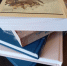 Библиотека на Шубиных объявила неделю возвращенной книги - Известно.ру