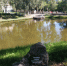 You are viewing the image with filename 4B4_bzAuC1ILATrYfd4QpDU1KYjVO9l79RxM2y-vXVcHJi5CaBvc5QynHqlAvOkUZ4930KioaPu_WJ7g9GNGmPoP.jpg - Центр культуры и творчества