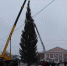 Главную городскую елку установили в Тейкове Ивановской области - ГТРК