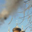 04-11.01. Расписание богослужений во Владимирском храме г. Иваново, изображение №1 - Ивановская митрополия