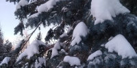Температура от -11˚С до -5˚С и сильный снег: погода в Ивановской области на 8 января - Известно.ру