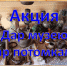 Мытский музей объявил акцию "Дар музею, в дар потомкам" - Известно.ру