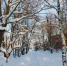 В Ивановской области 19 февраля ожидается от -22˚С до -4˚С - Известно.ру