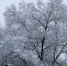 Ночью до -14˚С, днем до -1˚С: температурные качели в Ивановской области 26 февраля - Известно.ру