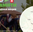 В Ивановской области за шесть лет проведения  Международной акции «Сад Памяти» посажено свыше 1,3 млн деревьев - Комитет по лесному хозяйству
