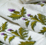 You are viewing the image with filename DSC07338.jpg - Ивановский политех