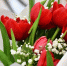 Конкурс "Педагогический дебют": новые лица – новое будущее - Известно.ру
