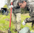 В 2026 году в Ивановской области восстановят леса  на площади 5,9 тыс. гектаров - Комитет по лесному хозяйству