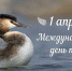 1 апреля – Международный день птиц - Комитет по лесному хозяйству