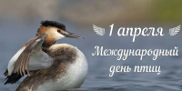 1 апреля – Международный день птиц - Комитет по лесному хозяйству