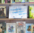 Не пропусти! Новые книги для тебя - Библиотека для детей и юношества
